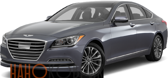 Автомобильные коврики ЭВА (EVA) для Hyundai Genesis II (DH) 2014-2017 