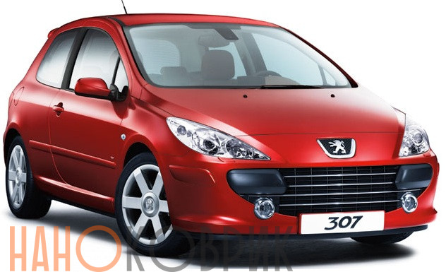 Автомобильные коврики ЭВА (EVA) для Peugeot 307 I хэтчбек 3 дв 2001-2008 
