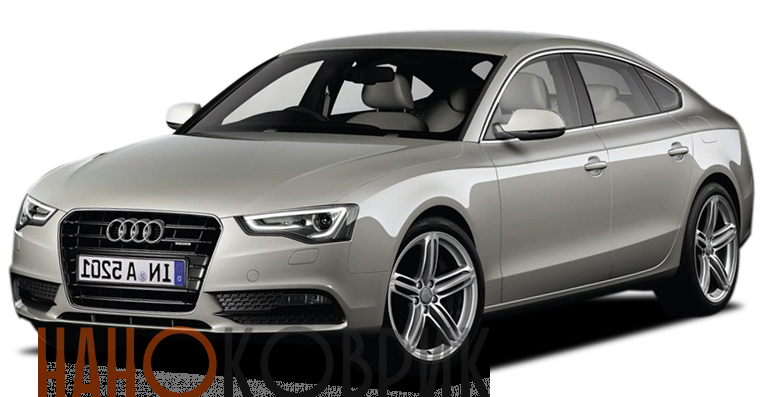 Автомобильные коврики ЭВА (EVA) для Audi A5 I (T8 спортбек) 2007-2016 