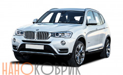 Автомобильные коврики ЭВА (EVA) для BMW X3 II (F25) 2010-2017 