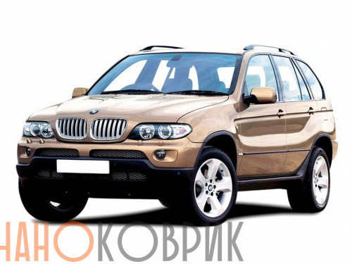 Автомобильные коврики ЭВА (EVA) для BMW X5 I (E53) 1999-2006 
