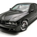 Автомобильные коврики ЭВА (EVA) для BMW 5 M IV (E39 седан) 1995-2003 