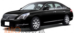Автомобильные коврики ЭВА (EVA) для Nissan Teana II (J32) 2008-2014 