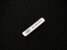 Фурнитура для автоковриков: логотип Kia (XXL)